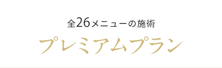 全26メニューの施術 プレミアムプラン