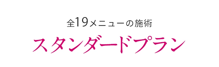 全１９メニューの施術 スタンダードプラン